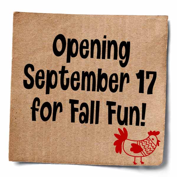 sq.OpeningDate